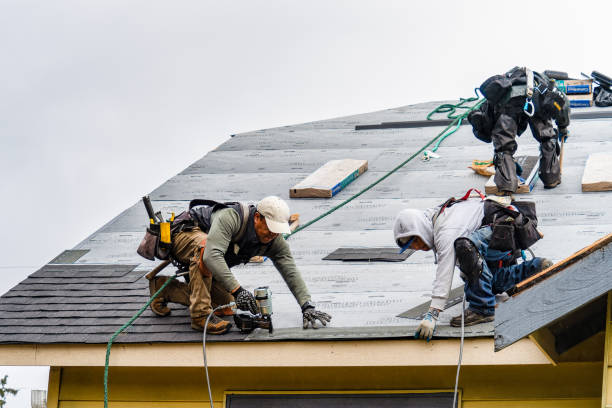 Professional Roofing technician working in Carter Lake, IA